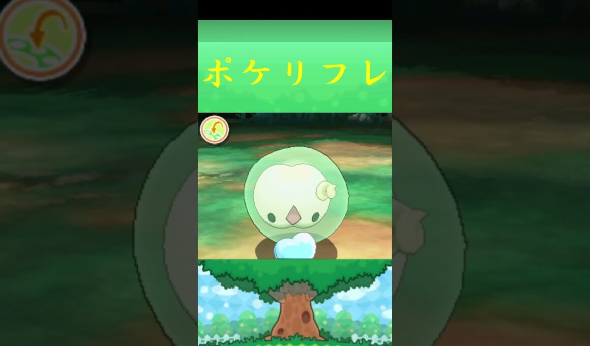ユニラン*ポケモン ポケリフレ ポケパルレ #ポケモン #Pokemon  #3DS #nintendoswitch #ポケモンsv #ポケモン #キャンプ #サンドイッチ #ピクニック