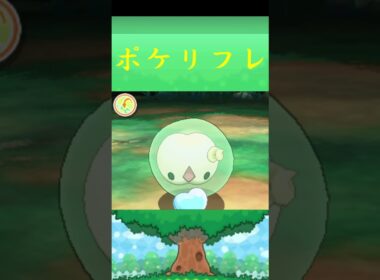 ユニラン*ポケモン ポケリフレ ポケパルレ #ポケモン #Pokemon  #3DS #nintendoswitch #ポケモンsv #ポケモン #キャンプ #サンドイッチ #ピクニック