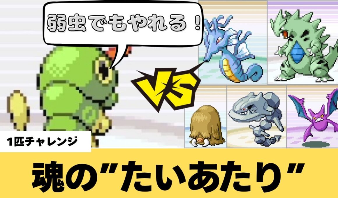 【最弱から最強へ】キャタピー1匹vs強化四天王　虫1匹でもチャンピオンになれるのか！【1匹チャレンジ】【ポケモンFRLG】