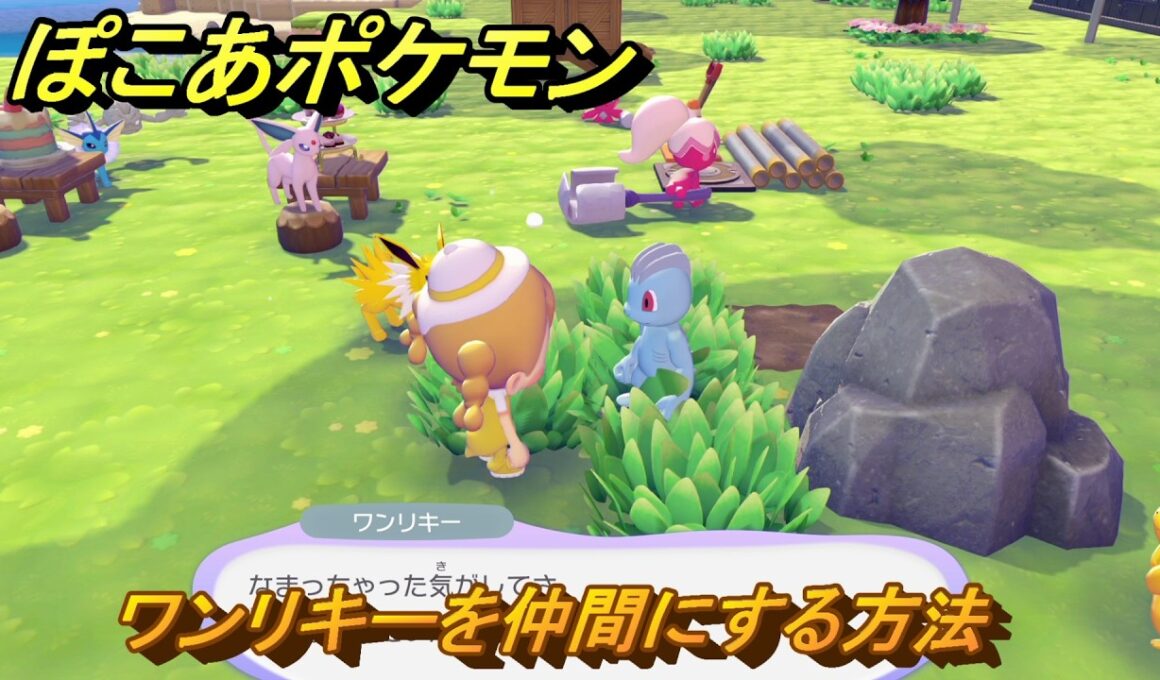 ぽこあポケモン　ワンリキーを仲間にする方法　岩かげの草むら（まっさらな街）　＃４８２　【ぽこポケ】