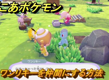 ぽこあポケモン　ワンリキーを仲間にする方法　岩かげの草むら（まっさらな街）　＃４８２　【ぽこポケ】