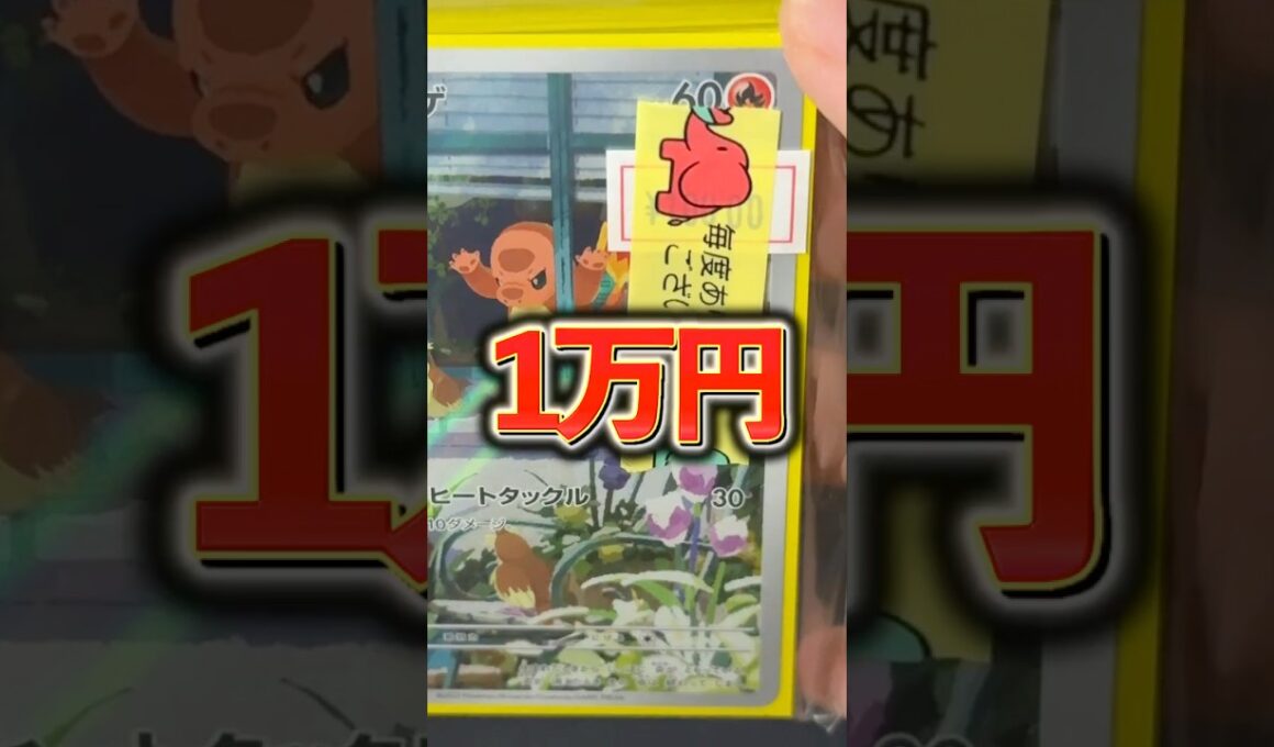 【ポケカ】1万円のヒトカゲブロックオリパを開封します！