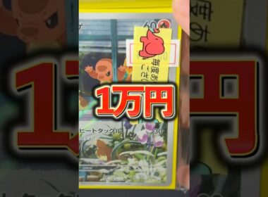 【ポケカ】1万円のヒトカゲブロックオリパを開封します！