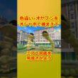 色違いオヤブンをオシャボで捕まえてミアレ図鑑を完成させたい！Part 79 イワーク編  #ポケモンza #ポケモン #色違い #イワーク #ハガネール