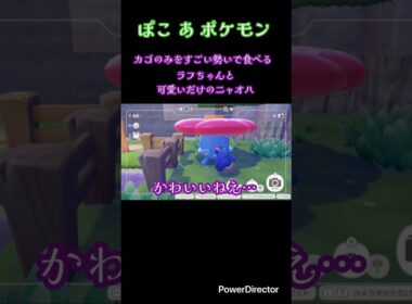 推しポケモンたち🌱 #shorts