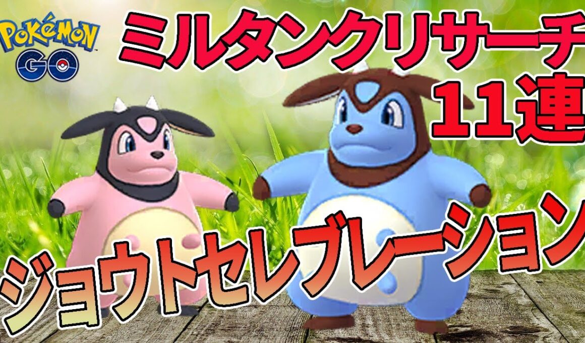 【ポケモンGO】ミルタンクの色違いが欲しい！だからミルタンクタスク11連！【ジョウトセレブレーション】