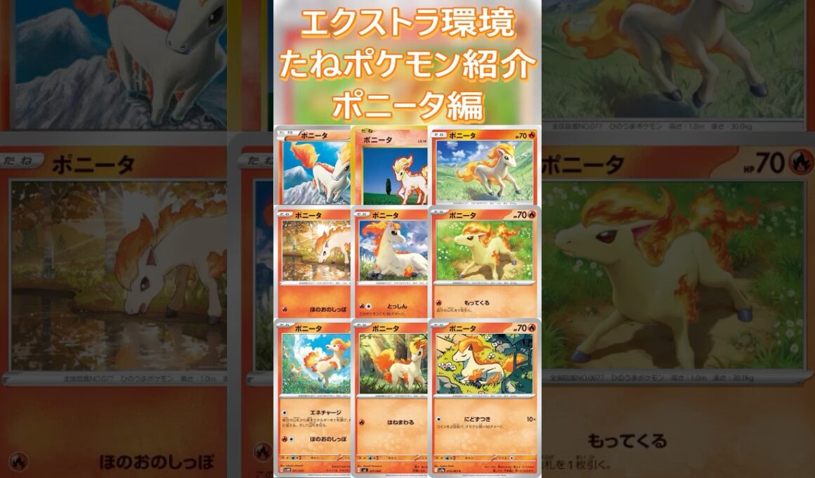 【ポケカ/エクストラ】エクストラおすすめたねポケモン紹介 ポニータ編  #shorts #ポケモンカード #ポニータ #pokemontcg #エクストラバトルの日