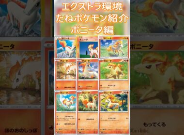 【ポケカ/エクストラ】エクストラおすすめたねポケモン紹介 ポニータ編  #shorts #ポケモンカード #ポニータ #pokemontcg #エクストラバトルの日