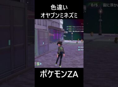 色違いオヤブンミネズミ ポケモンレジェンズZA M次元ラッシュ Pokémon LEGENDS Z-A Mega Dimension #shorts #ポケモン