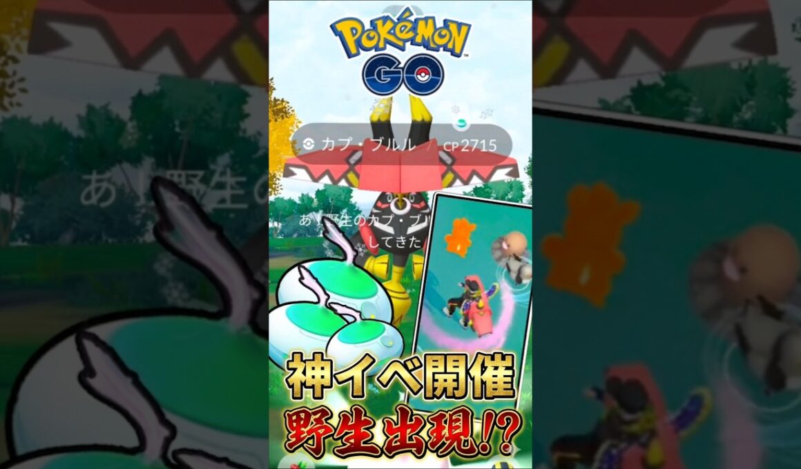 【番外編】野生のカプ・ブルルを捕獲せよ!!【ポケモンGO】