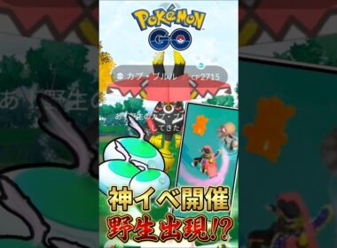 【番外編】野生のカプ・ブルルを捕獲せよ!!【ポケモンGO】