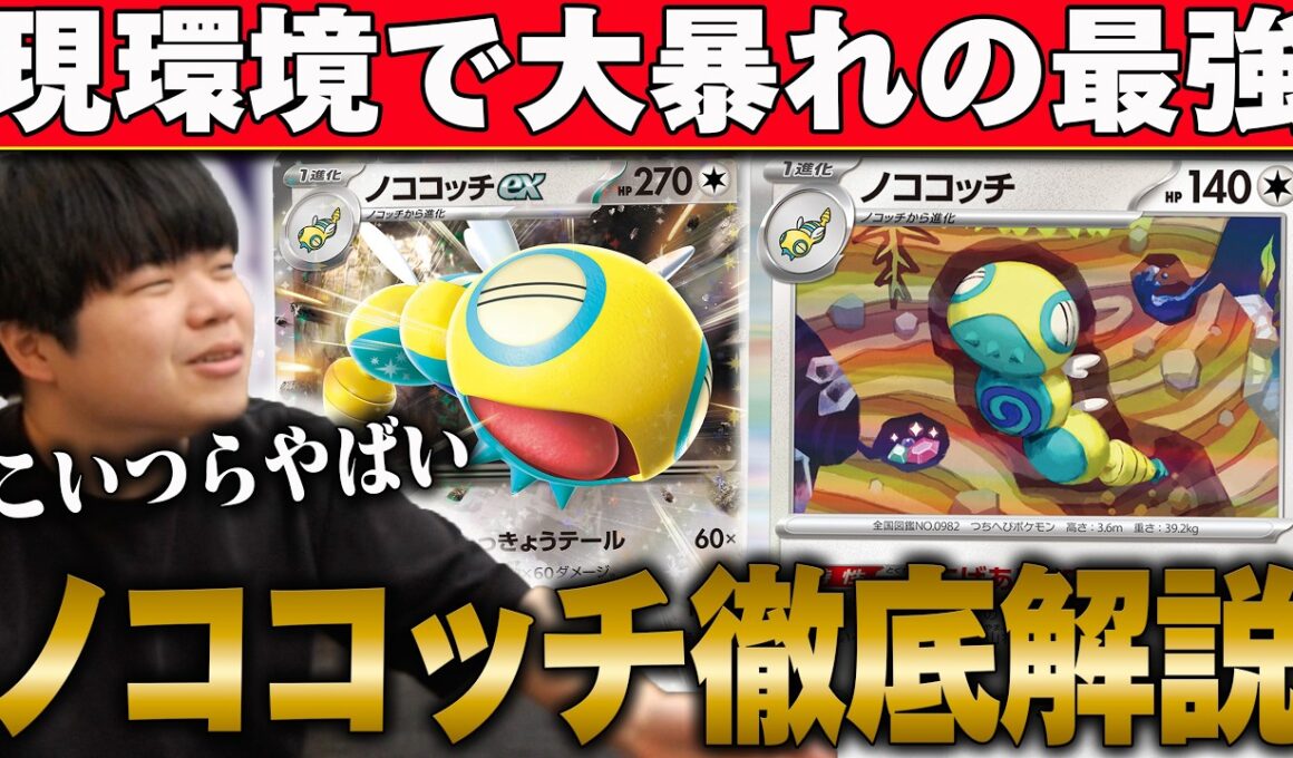今どのデッキにも入ってるノココッチ徹底解説！こいつら強すぎる…