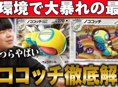 今どのデッキにも入ってるノココッチ徹底解説！こいつら強すぎる…