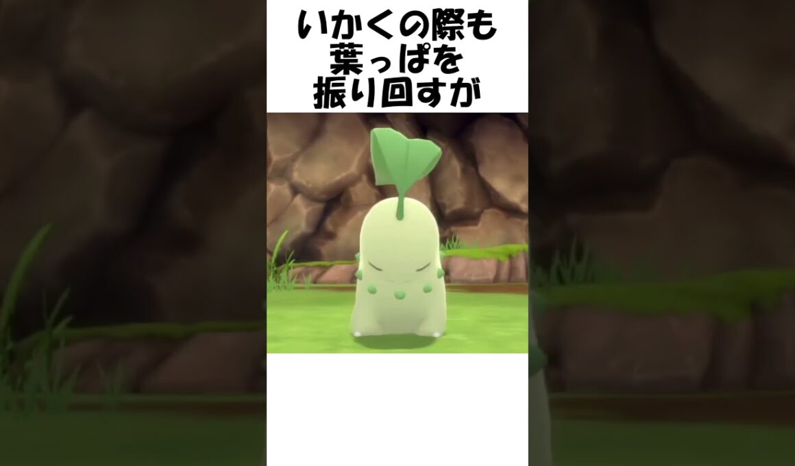 【ポケモン】大きな苗 #shorts