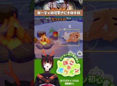 【ぽこ あ ポケモン】ガーディの可愛さにメロメロ 🐉宥龍のCHは▶️ @Yu-ri宥龍vtch #shorts