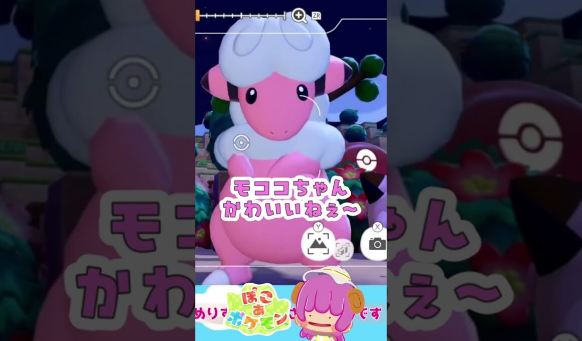 【ぽこあ】かわいいすぎる瞬間【ぽこポケ】【ポケモン】【モココ】【写真】【めりりぃすたぁ】#shorts
