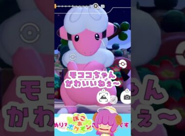 【ぽこあ】かわいいすぎる瞬間【ぽこポケ】【ポケモン】【モココ】【写真】【めりりぃすたぁ】#shorts