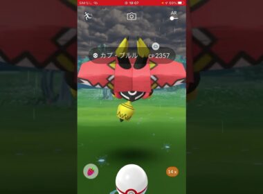 ポケモン捕獲戦　パート36 ポケモンgo カプ・ブルル　#pokemon