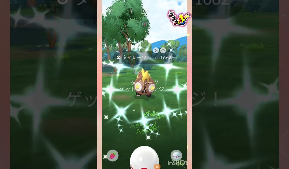寝起きの一発目🧡✨めがタイレーツ🧡✨🧡✨🧡 #pokemongo #shorts