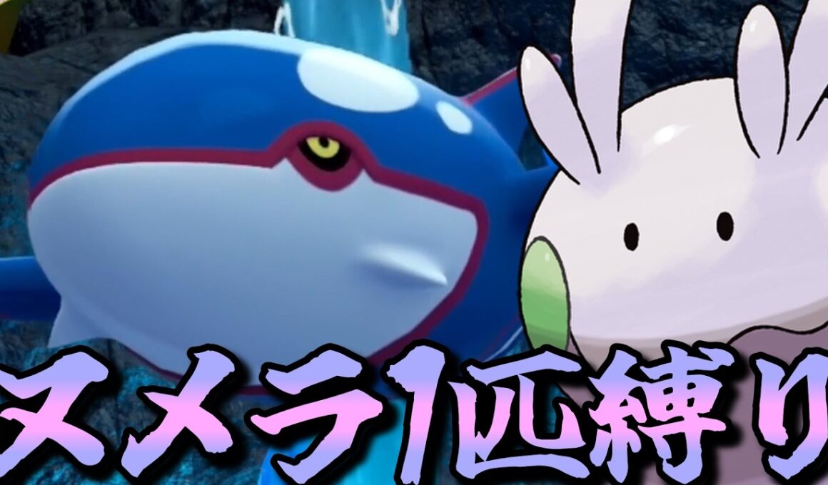 【ポケモンZA】M次元ラッシュをヌメラ１匹でクリアしてみる【ポケモン】【ポケモンレジェンズZA】【M次元ラッシュ】【Switch2】#9