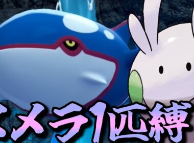 【ポケモンZA】M次元ラッシュをヌメラ１匹でクリアしてみる【ポケモン】【ポケモンレジェンズZA】【M次元ラッシュ】【Switch2】#9