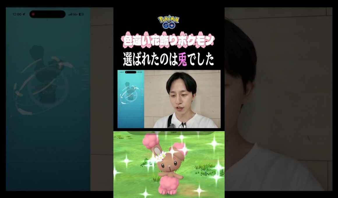 【初ゲット】愛されすぎwww常連の花飾りミミロルが光った瞬間!! #ポケモンgo #色違い #ミミロル #花飾り #pokemongo #shorts