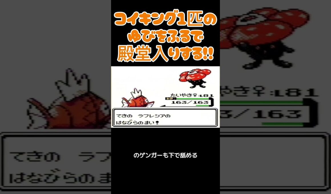 【ポケモン金銀】コイキングのゆびをふるで殿堂入りを目指す。ポケモン1匹縛りプレイ‼コイキング君に決めた‼【縛りプレイ】#ポケモン金銀 #コイキング #ゆびをふる #縛りプレイ #ゲーム実況