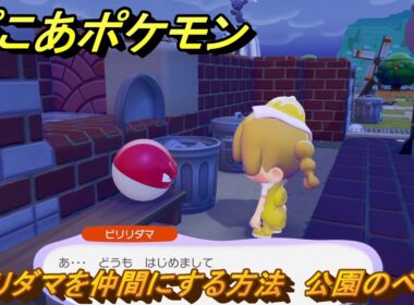 ぽこあポケモン　ビリリダマを仲間にする方法　公園のベンチ　＃２１４　【ぽこポケ】