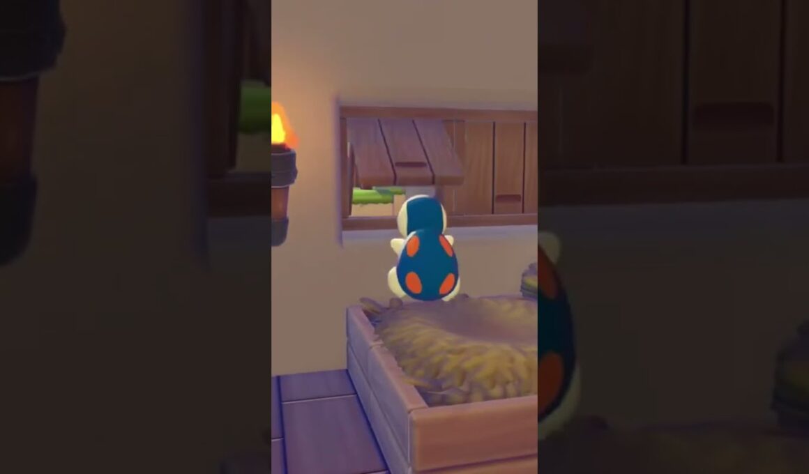 新居に大はしゃぎする『ヒノアラシ』が可愛すぎ🤣w #ぽこあポケモン #shorts