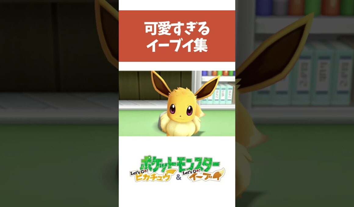 【ポケモンピカブイ】可愛すぎるイーブイ集 【ポケットモンスター Let’s Go! ピカチュウ・イーブイ】#shorts