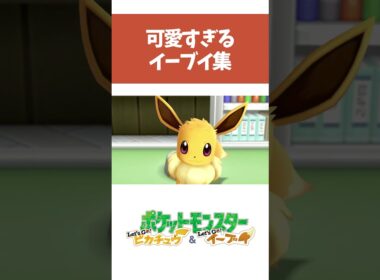 【ポケモンピカブイ】可愛すぎるイーブイ集 【ポケットモンスター Let’s Go! ピカチュウ・イーブイ】#shorts