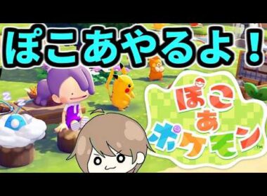 プラスルとマイナンの部屋を作ろう！！