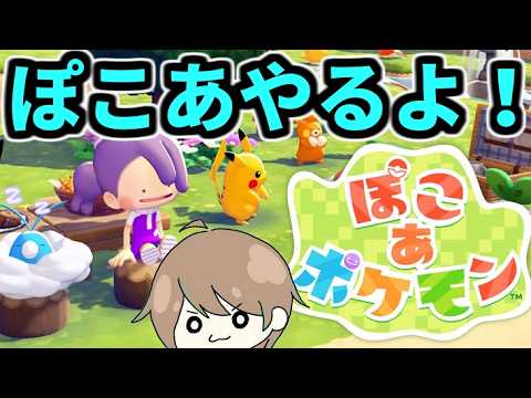 プラスルとマイナンの部屋を作ろう！！