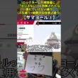 【ポケモン剣盾】ハイセンスニックネーム人生縛り命名集(サマヨール②)【Twitch配信】
