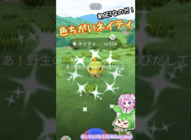 【ポケGO】色違いネイティ初GETなのだ！
