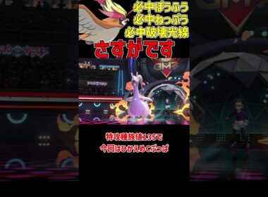 全てが必中になる 最強メガピジョット
