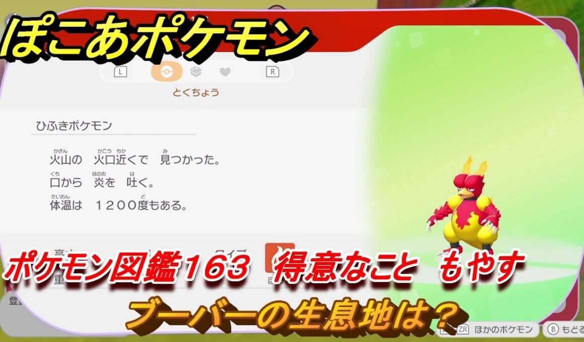 ぽこあポケモン　ブーバーの生息地は？　ポケモン図鑑１６３　得意なこと　もやす　＃９０７　【ぽこポケ】