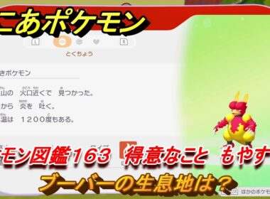 ぽこあポケモン　ブーバーの生息地は？　ポケモン図鑑１６３　得意なこと　もやす　＃９０７　【ぽこポケ】