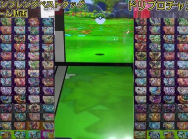 カプ・コケコと仲良くなったよ♪【#ポケモンフレンダ(#pokemonfridnda)ベストタッグ2弾ゲーム動画】