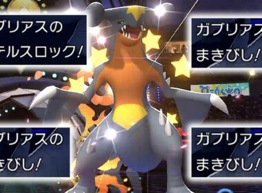 使用率1位のガブリアスがサポート型で無双してる件