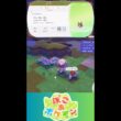 【ぽこあポケモン】ホーホー
