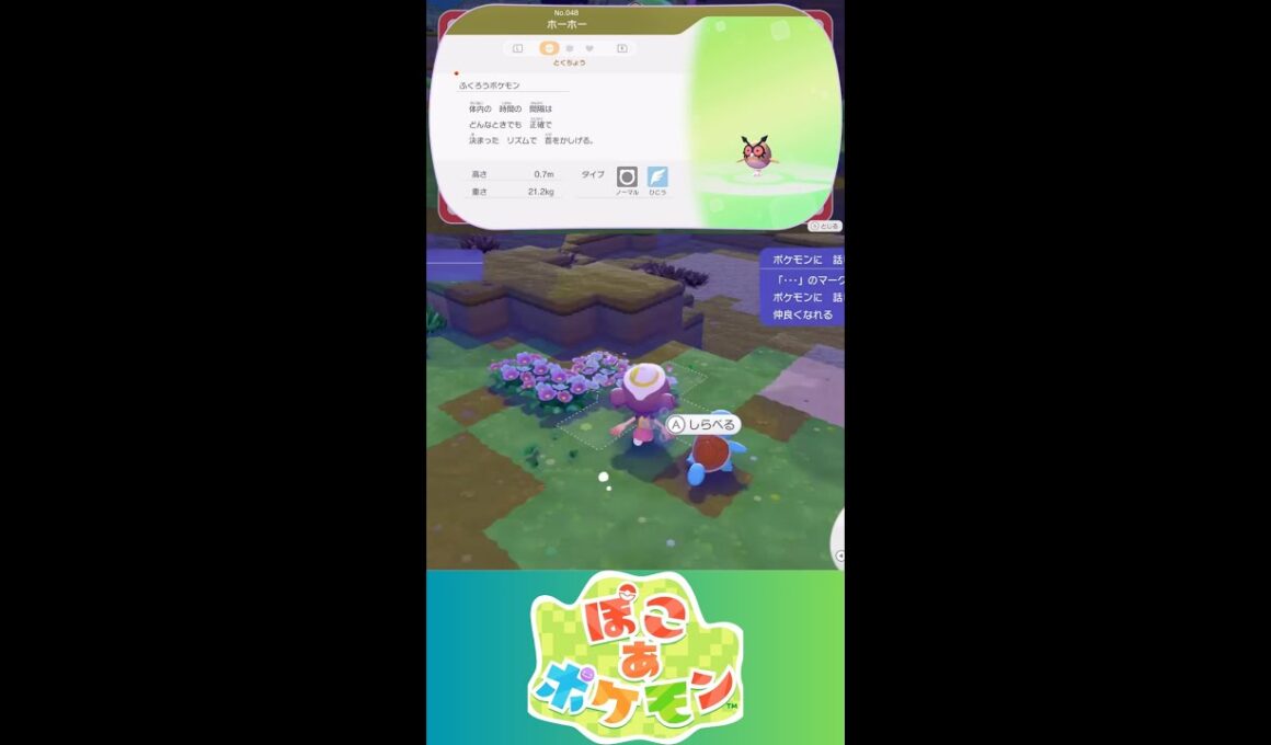 【ぽこあポケモン】ホーホー