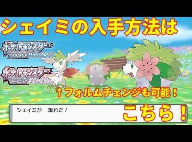 【ポケモンBDSP】シェイミの入手方法に一同驚愕！バグではなく正規入手方法です【ダイパリメイク】