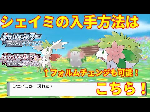 【ポケモンBDSP】シェイミの入手方法に一同驚愕！バグではなく正規入手方法です【ダイパリメイク】