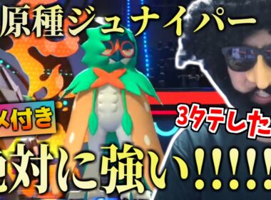 【！？】原種ジュナイパーで３タテするあゆみん【2026/05/20】【ポケモンチャンピオンズ】