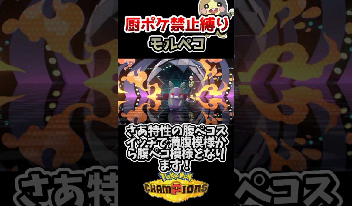 【厨ポケ禁止縛り】使用率140位が5位を破壊‼️モルペコの下剋上‼️ #ポケモン #ポケモンチャンピオンズ #ゆっくり実況 #ポケチャン