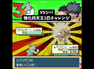 【ワンパンマン】ワンリキー1匹VS強化シバ　気合パンチで全ポケモンをワンパン粉砕！ #ポケモン #frlg
