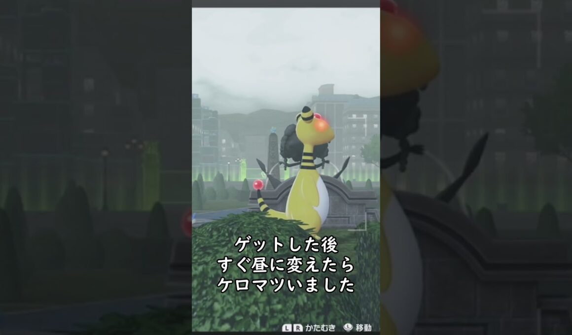 色違いケロマツ調査３日目完全放置厳選！！【Pokémon LEGENDS Z-A】