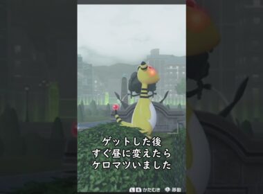 色違いケロマツ調査３日目完全放置厳選！！【Pokémon LEGENDS Z-A】