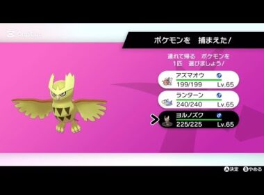 色違いヨルノズク
